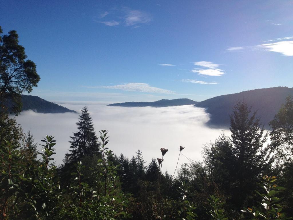 Malahat Moon Water Lodge חדר תמונה